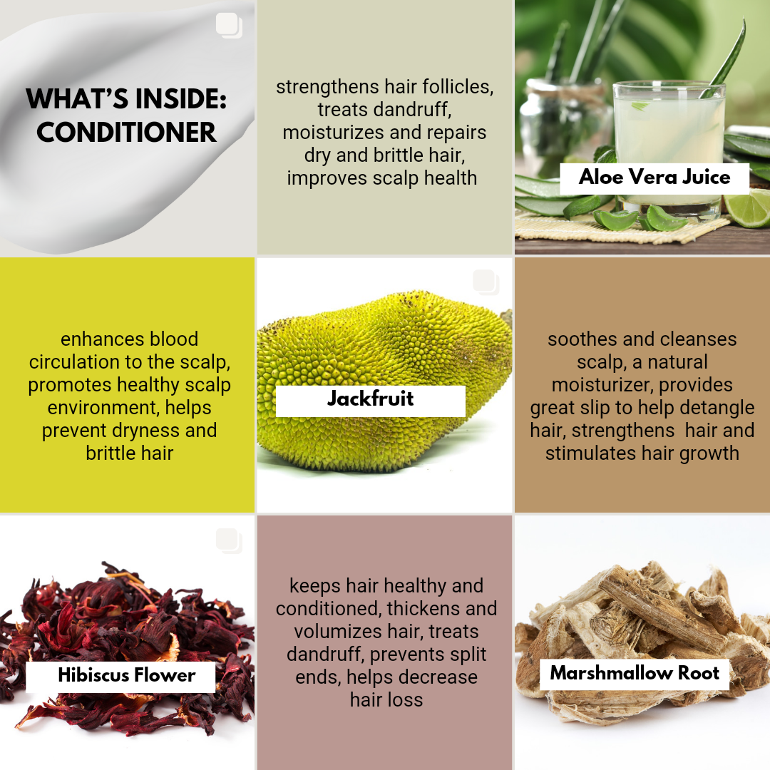 <transcy>Condicionador de coco Jill & Jackfruit</transcy>