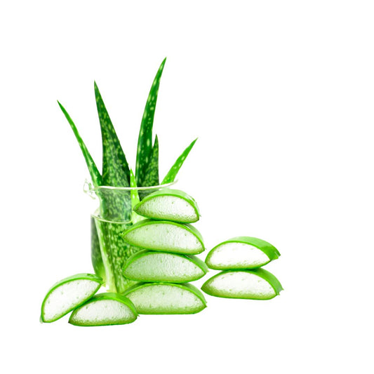 The Benefits of Aloe Vera in Natural Hair Care, especially for Curly Hair Types